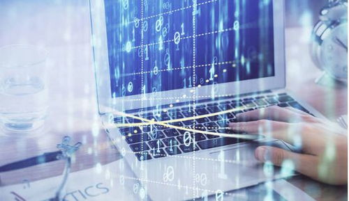 計算機信息技術證辦理所需資料與考試內容詳解